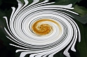 2008_Spirale_0002