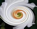 2008_Spirale_0003