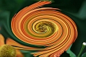 2008_Spirale_0004