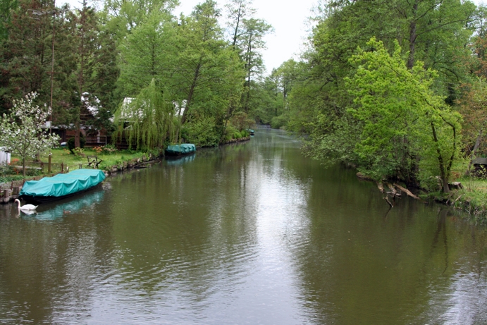 ZA_D_0001.jpg - Die Hauptspree bei Lübbenau