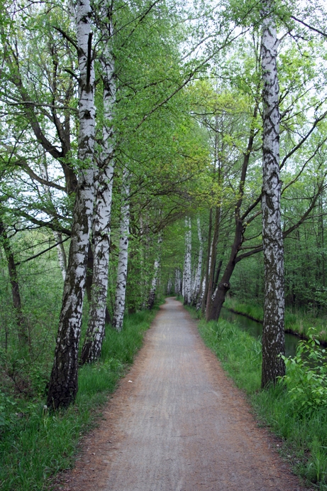 ZA_D_0004.jpg - Der Weg von Lübbenau nach Leipe